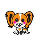 イケメン犬 パピヨンリロ（個別スタンプ：1）