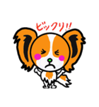 イケメン犬 パピヨンリロ（個別スタンプ：5）