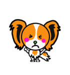 イケメン犬 パピヨンリロ（個別スタンプ：6）