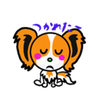イケメン犬 パピヨンリロ（個別スタンプ：13）