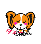 イケメン犬 パピヨンリロ（個別スタンプ：14）
