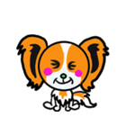 イケメン犬 パピヨンリロ（個別スタンプ：24）