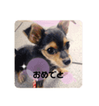 ここここここここここ（個別スタンプ：23）