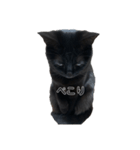 黒猫にゃん太くん（個別スタンプ：5）