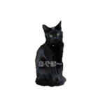 黒猫にゃん太くん（個別スタンプ：6）