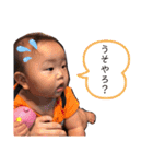 虹羽と孔明（個別スタンプ：8）