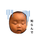 虹羽と孔明（個別スタンプ：9）