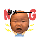 虹羽と孔明（個別スタンプ：10）