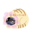 あったまるスタンプ（個別スタンプ：2）