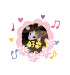 あったまるスタンプ（個別スタンプ：7）