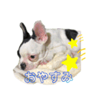 ☆フレブル小梅のスタンプ☆（個別スタンプ：7）