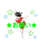 ☆フレブル小梅のスタンプ☆（個別スタンプ：24）