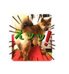 柴犬  豆之進 日常スタンプ★【関西弁】（個別スタンプ：13）