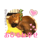 柴犬  豆之進 日常スタンプ★【関西弁】（個別スタンプ：19）