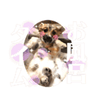 柴犬  豆之進 日常スタンプ★【関西弁】（個別スタンプ：29）