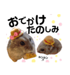 みるく☆こむぎ（個別スタンプ：2）