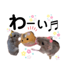 みるく☆こむぎ（個別スタンプ：3）