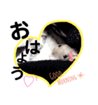 みるく☆こむぎ（個別スタンプ：12）