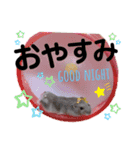 みるく☆こむぎ（個別スタンプ：14）