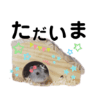 みるく☆こむぎ（個別スタンプ：23）
