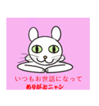 しろねこ ネコネコ（個別スタンプ：6）