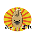 クロハナの年末年始セット2020（個別スタンプ：15）