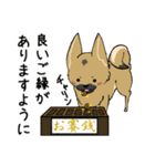 クロハナの年末年始セット2020（個別スタンプ：24）