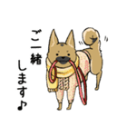 クロハナの年末年始セット2020（個別スタンプ：25）