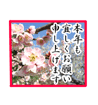 新年の挨拶に花を♪Part2（個別スタンプ：12）