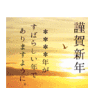 毎年使える♪綺麗な写真と年末年始◆大人（個別スタンプ：13）