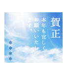 毎年使える♪綺麗な写真と年末年始◆大人（個別スタンプ：20）