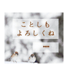 毎年使える♪綺麗な写真と年末年始◆大人（個別スタンプ：23）