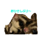ごえちゃん一家（個別スタンプ：4）