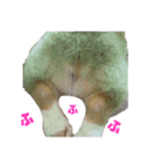 ごえちゃん一家（個別スタンプ：12）