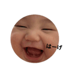 あおりん☆わーるど（個別スタンプ：17）