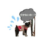 ☆ミニシュナ☆メイのスタンプ3（個別スタンプ：14）