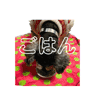 ☆ミニシュナ☆メイのスタンプ3（個別スタンプ：22）