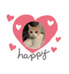 バルル.きなこ.マロン（個別スタンプ：4）