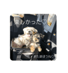 はなとそらスタンプ（個別スタンプ：8）