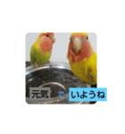 kawafamily14（個別スタンプ：1）
