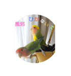 kawafamily14（個別スタンプ：2）