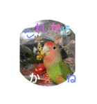 kawafamily14（個別スタンプ：4）