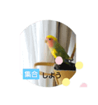 kawafamily14（個別スタンプ：8）