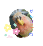 kawafamily14（個別スタンプ：12）