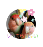 kawafamily14（個別スタンプ：13）