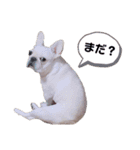 だいふくもち。②（個別スタンプ：1）