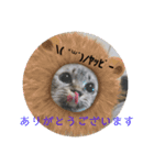 もちゃ 11 ＆友達（個別スタンプ：1）