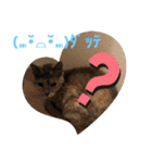 もちゃ 11 ＆友達（個別スタンプ：3）