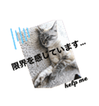 もちゃ 11 ＆友達（個別スタンプ：12）