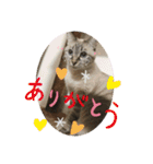 もちゃ 11 ＆友達（個別スタンプ：14）